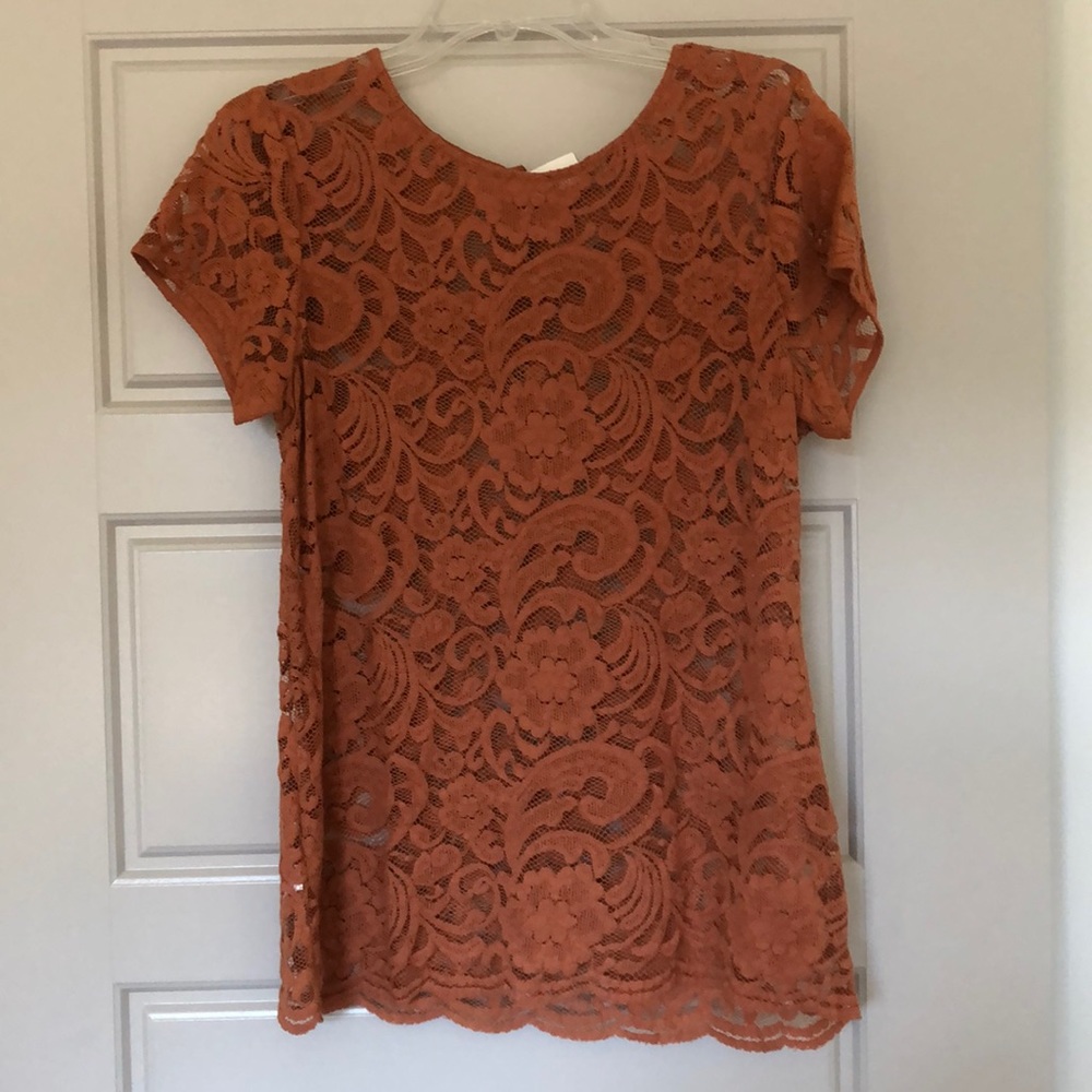 Anne Taylor LOFT Sheer Lace Top (Medium)
